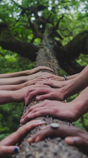 Pledge for Greener Arbitrations